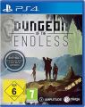 PS4 Dungeon of Endless Collectors