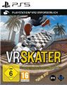 PS5 VR2 Skater